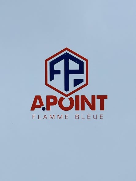 FLAME BLEU Chaudière 18KW FLAME BLEU